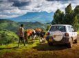 Uganda Road Trip