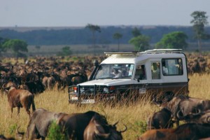 masaimara